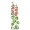 Tall Hollyhocks Wall Stencil | 983 by Designer Stencils | Floral Stencils | Reusable Art Craft Stencils for Painting on Walls, Canvas, Wood | Reusable Plastic Paint Stencil for Home Makeover | Easy to Use & Clean Art Stencil